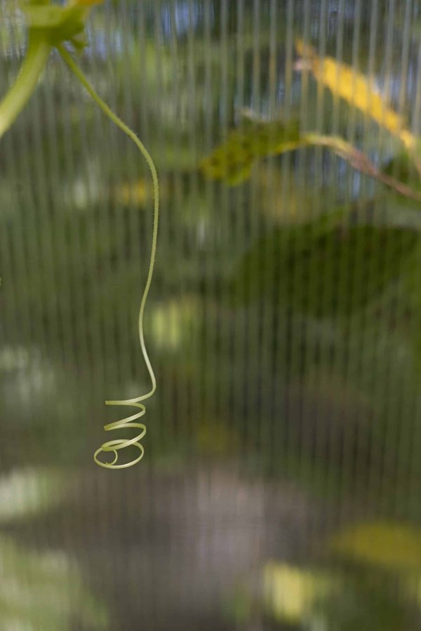 Les meilleures adaptations de livres au cinéma