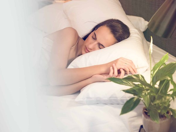 Quelle plante choisir pour retrouver un sommeil réparateur ?